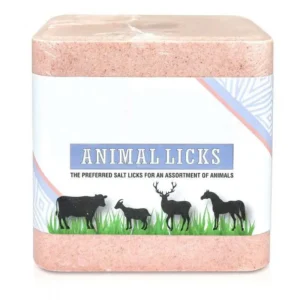 Compressed Animal Salt Lick